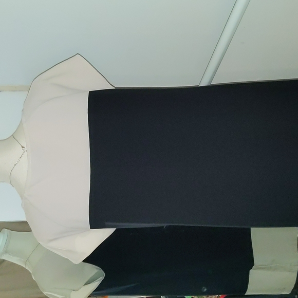 Merona Color Block Shift Dress - Picture 6 of 7